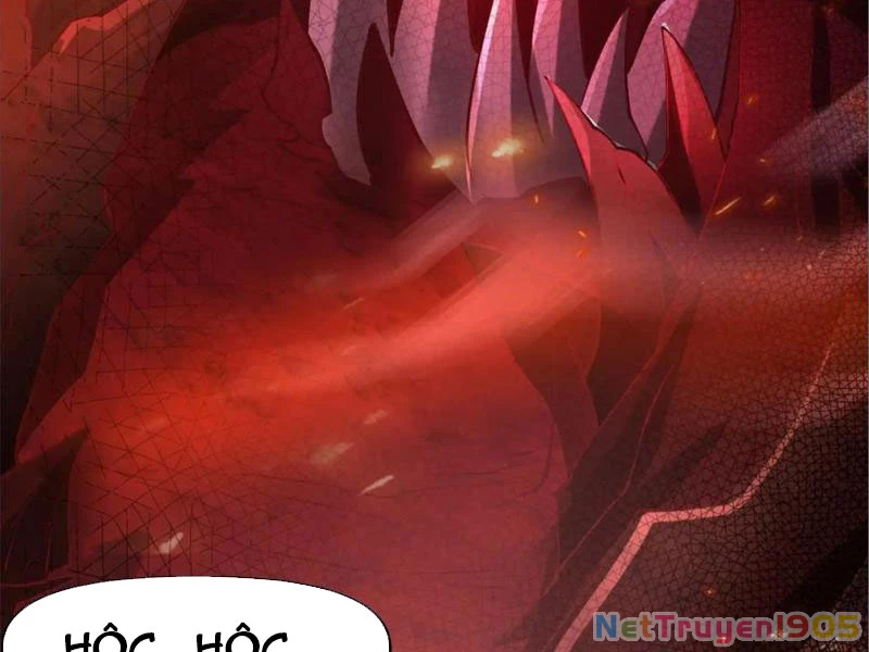 Tinh Thú Sư Mạnh Nhất Chapter 9 - Trang 2