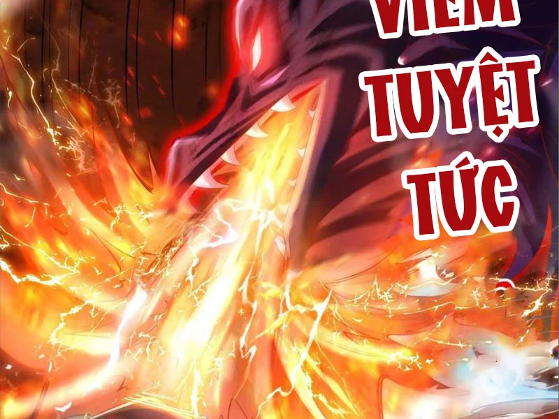 Tinh Thú Sư Mạnh Nhất Chapter 11 - Trang 2