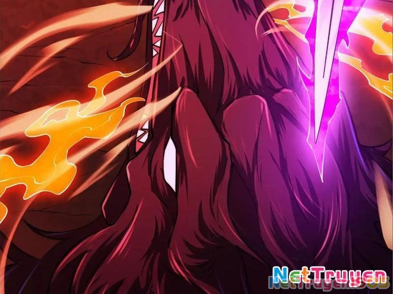 Tinh Thú Sư Mạnh Nhất Chapter 11 - Trang 2