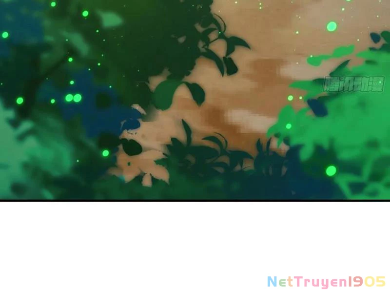 Tinh Thú Sư Mạnh Nhất Chapter 21 - Trang 2