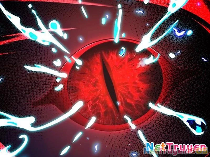 Tinh Thú Sư Mạnh Nhất Chapter 22 - Trang 2