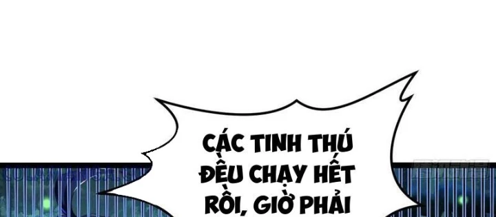 Tinh Thú Sư Mạnh Nhất Chapter 23 - Trang 2