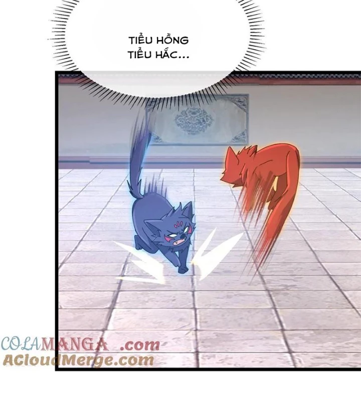 Thần Võ Thiên Tôn Chapter 911 - Trang 2