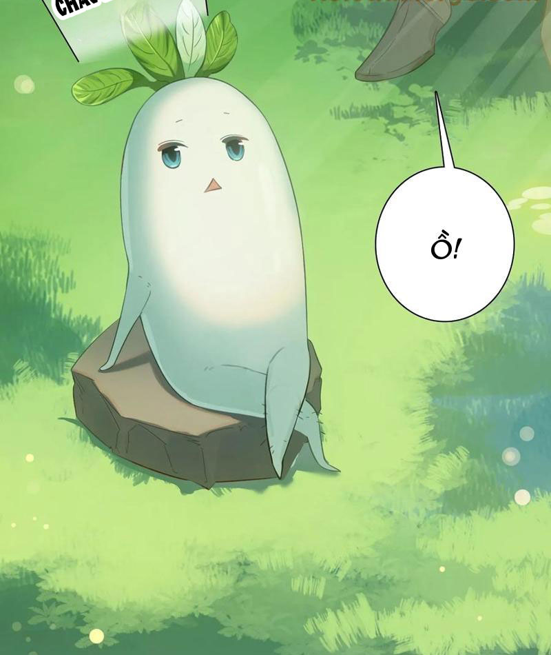 Đừng Xem Thường Một Củ Cải Chapter 16 - Trang 2