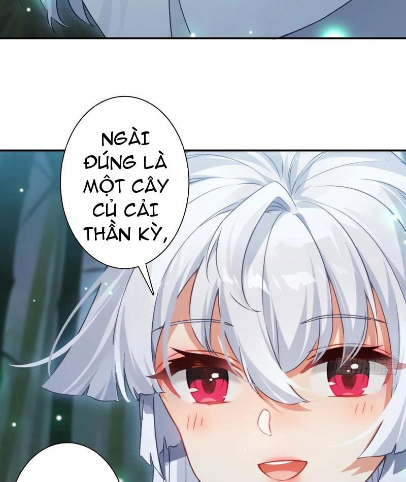 Đừng Xem Thường Một Củ Cải Chapter 16 - Trang 2