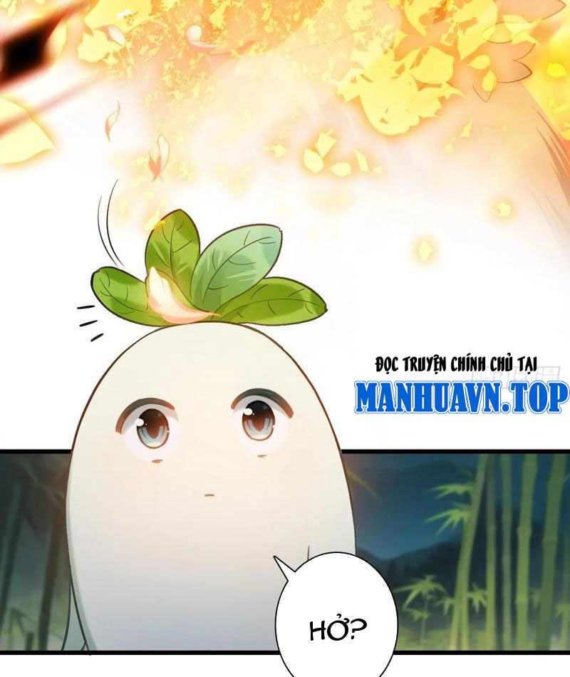 Đừng Xem Thường Một Củ Cải Chapter 16 - Trang 2