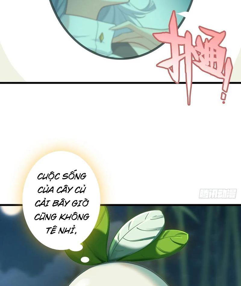 Đừng Xem Thường Một Củ Cải Chapter 16 - Trang 2