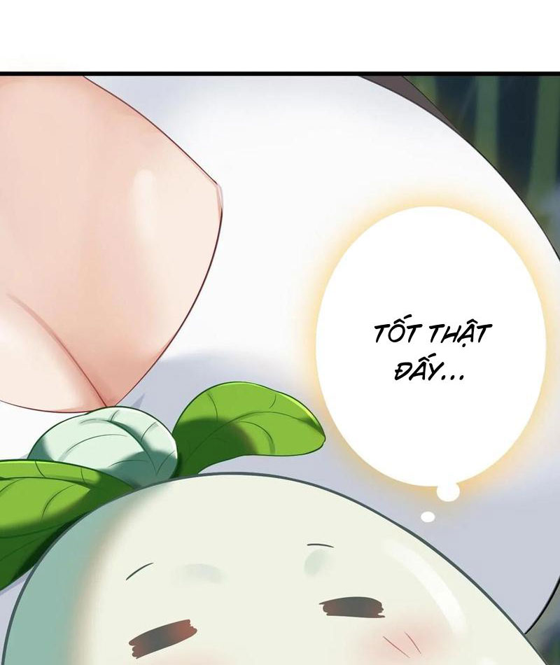 Đừng Xem Thường Một Củ Cải Chapter 16 - Trang 2