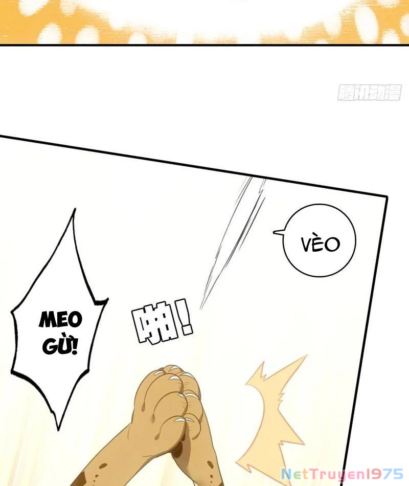 Đừng Xem Thường Một Củ Cải Chapter 37 - Trang 2