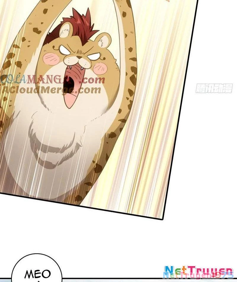 Đừng Xem Thường Một Củ Cải Chapter 37 - Trang 2