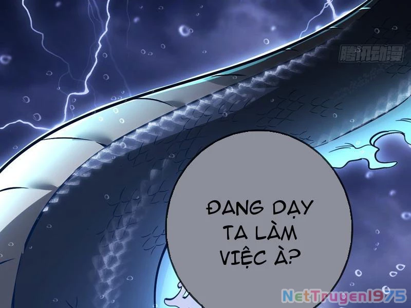 Đừng Xem Thường Một Củ Cải Chapter 41 - Trang 2