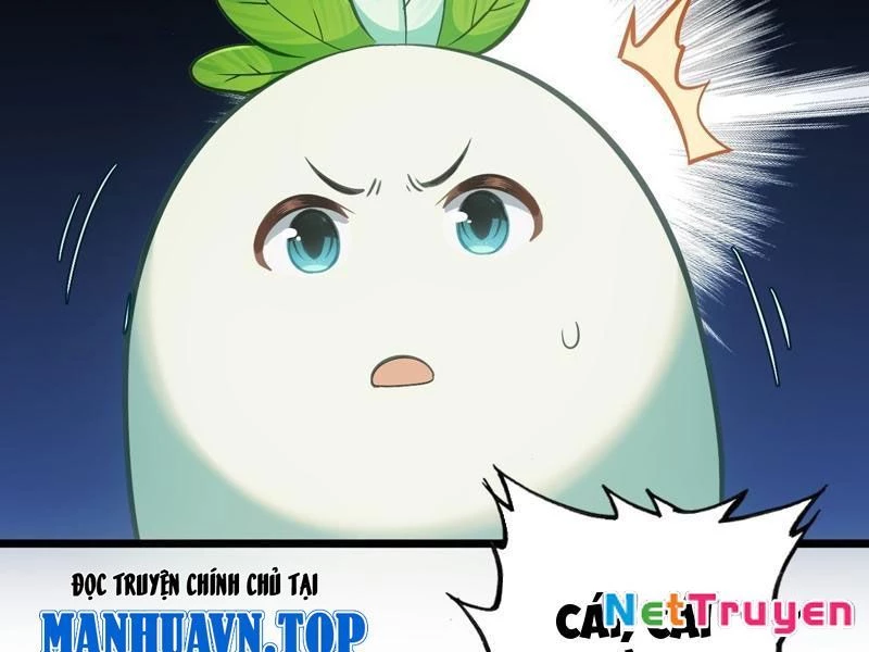 Đừng Xem Thường Một Củ Cải Chapter 41 - Trang 2