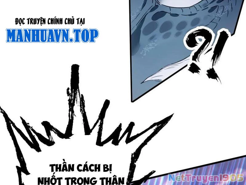 Đừng Xem Thường Một Củ Cải Chapter 43 - Trang 2