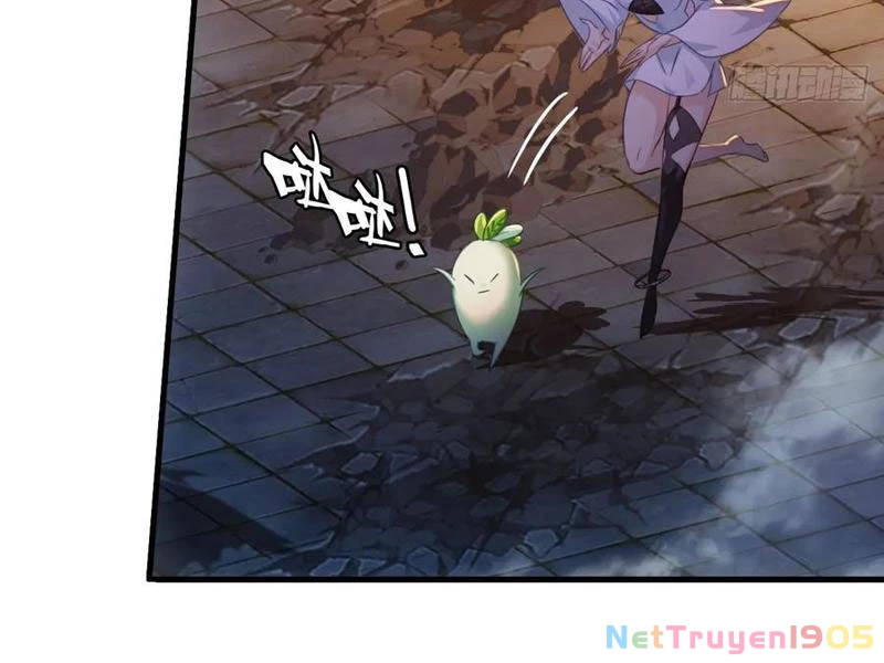 Đừng Xem Thường Một Củ Cải Chapter 43 - Trang 2