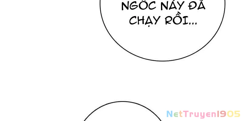 Đừng Xem Thường Một Củ Cải Chapter 43 - Trang 2