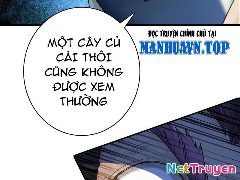 Đừng Xem Thường Một Củ Cải Chapter 43 - Trang 2