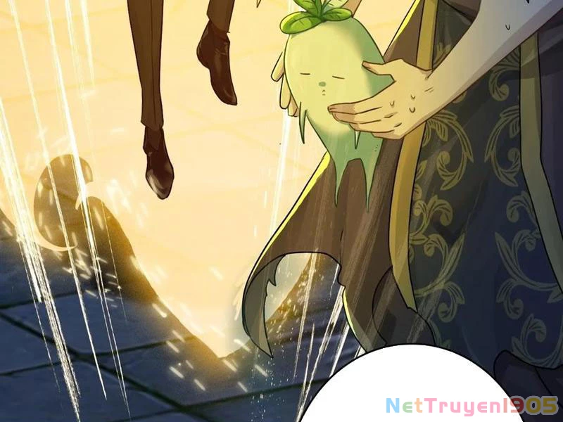 Đừng Xem Thường Một Củ Cải Chapter 43 - Trang 2