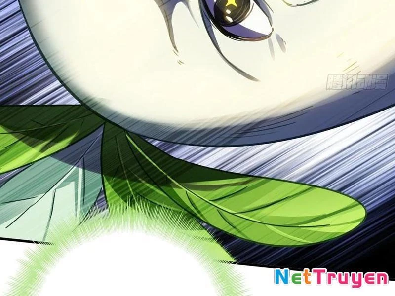 Đừng Xem Thường Một Củ Cải Chapter 43 - Trang 2