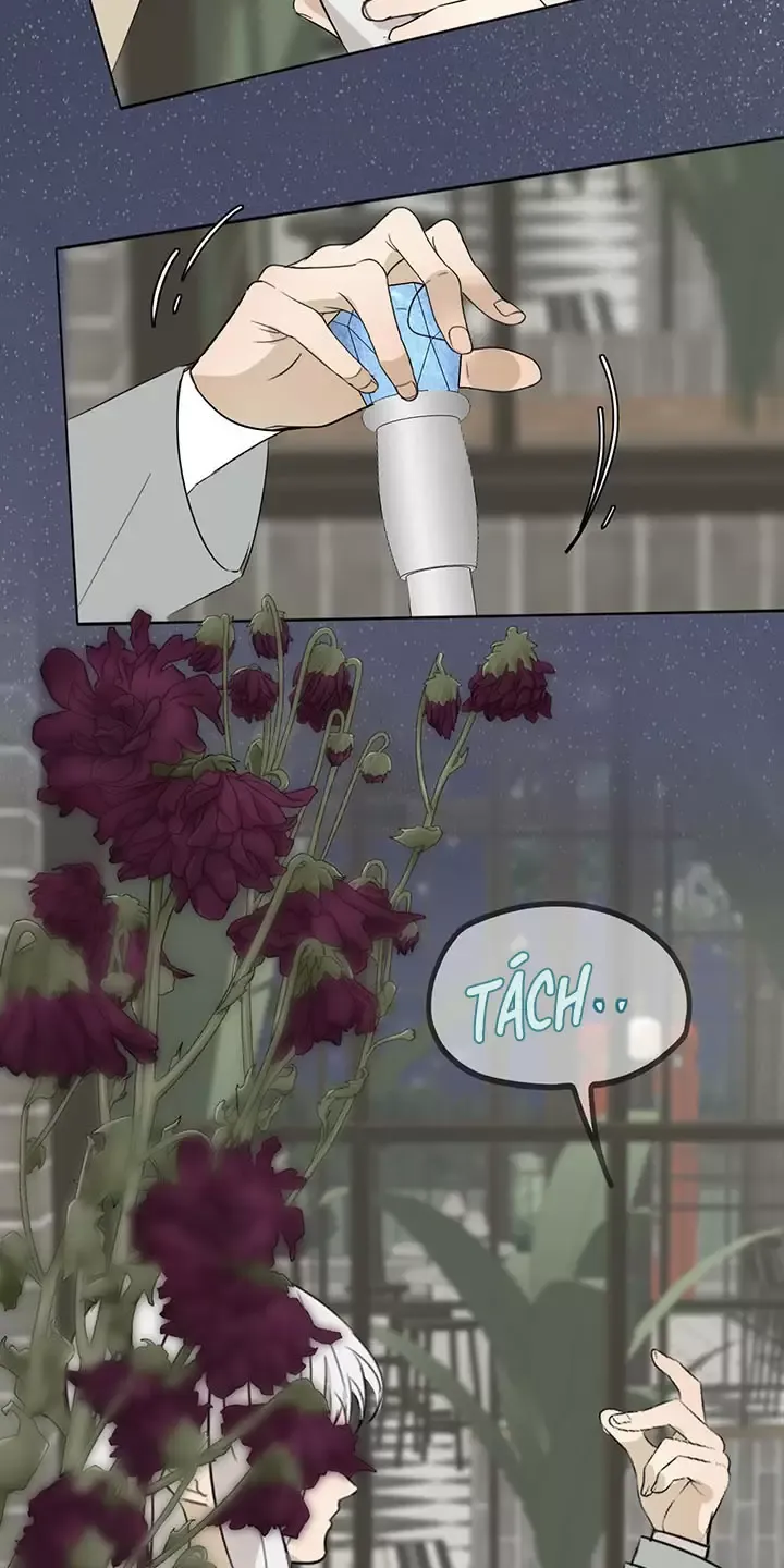 Thao Túng Trái Tim Em Chapter 1 - Trang 2