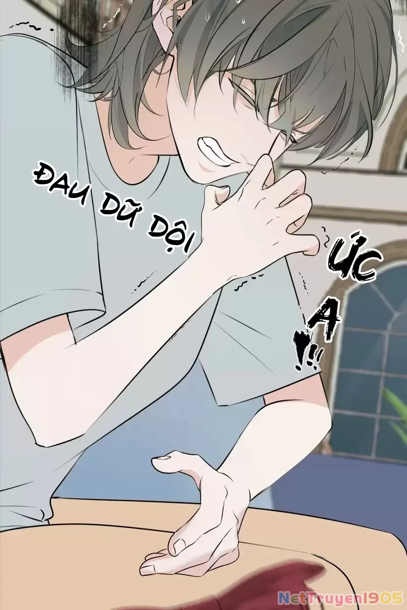 Thao Túng Trái Tim Em Chapter 43 - Trang 2