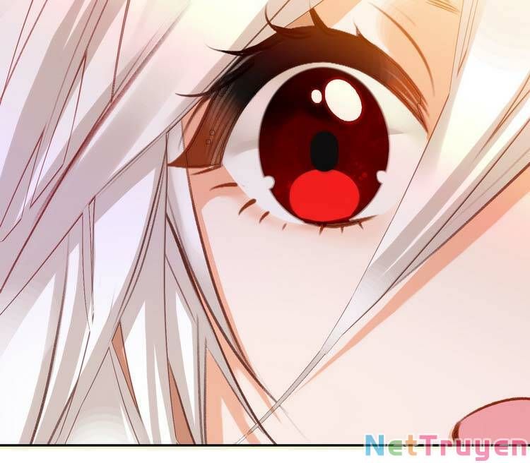 Ta Đúng Là Cao Thủ Tuyệt Thế Chapter 2 - Trang 2