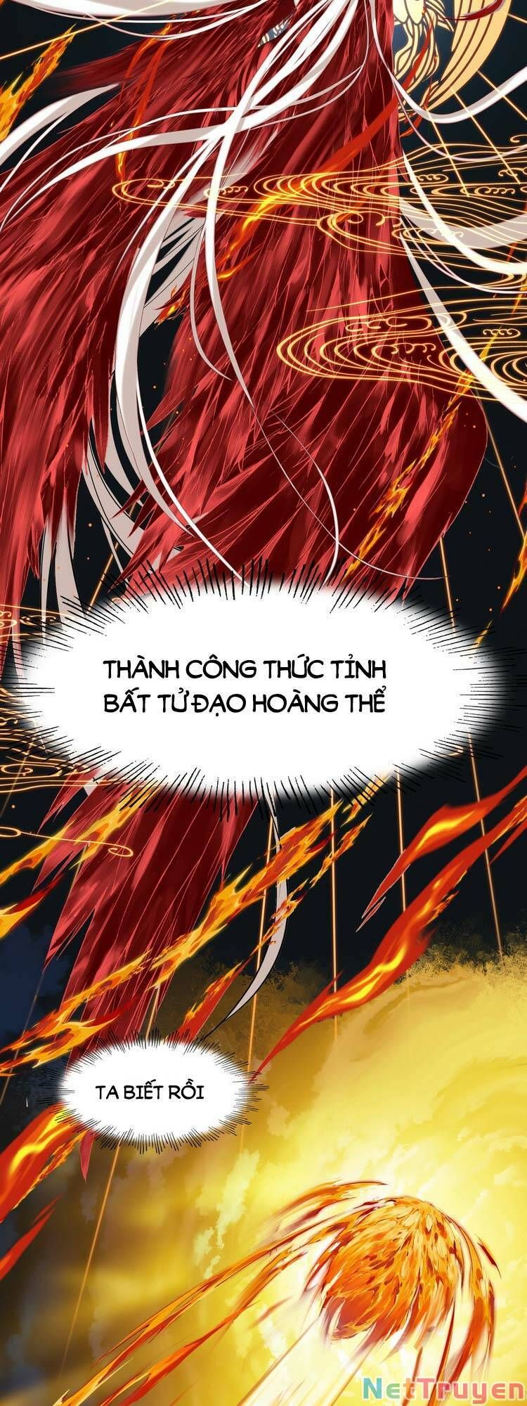 Ta Đúng Là Cao Thủ Tuyệt Thế Chapter 3 - Trang 2