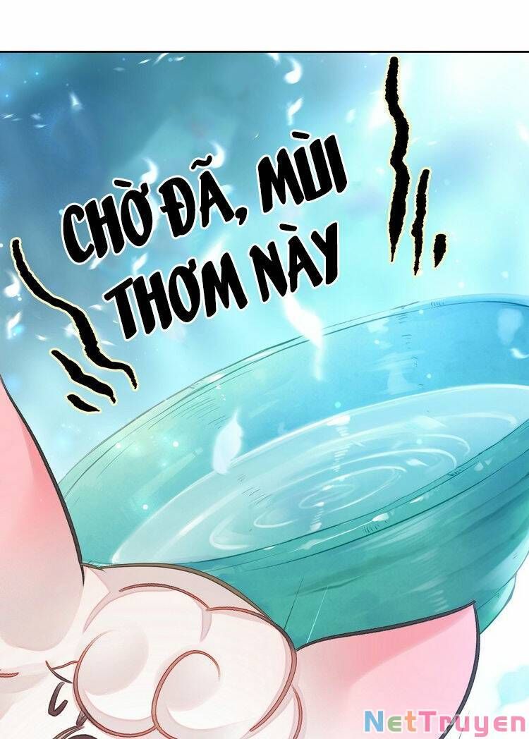 Ta Đúng Là Cao Thủ Tuyệt Thế Chapter 6 - Trang 2