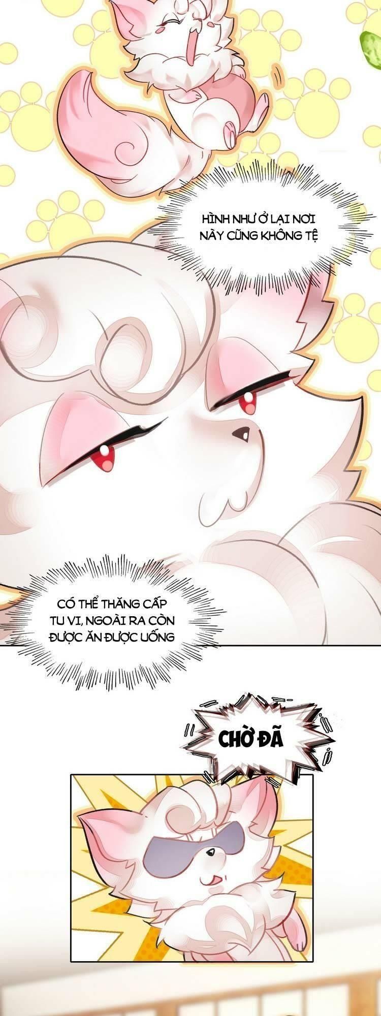 Ta Đúng Là Cao Thủ Tuyệt Thế Chapter 8 - Trang 2