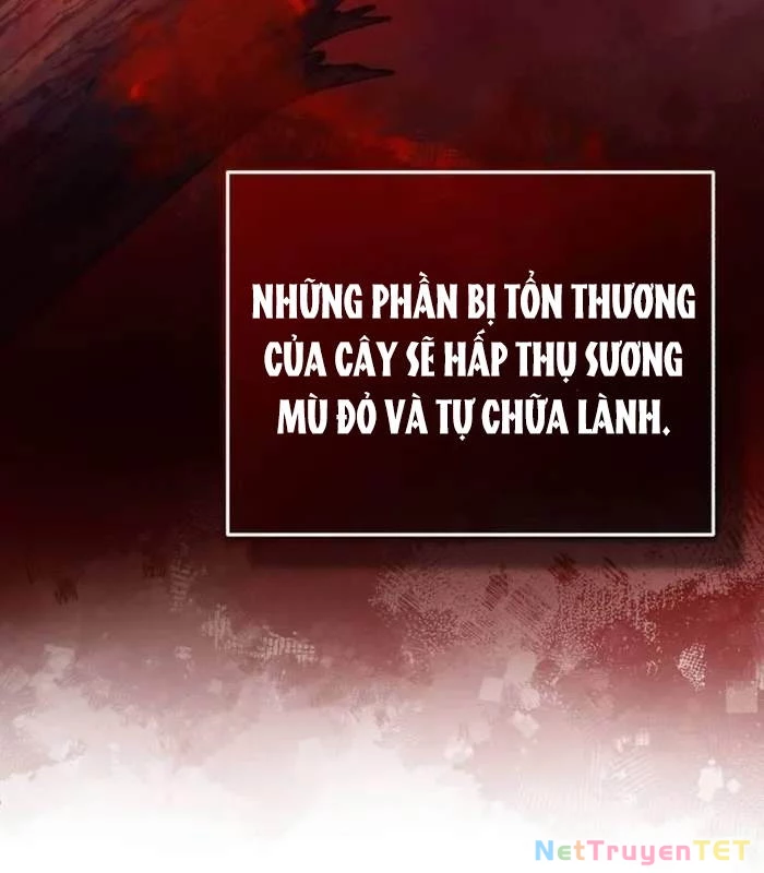 Hồi Quy Giả Về Hưu Chapter 54 - Trang 2
