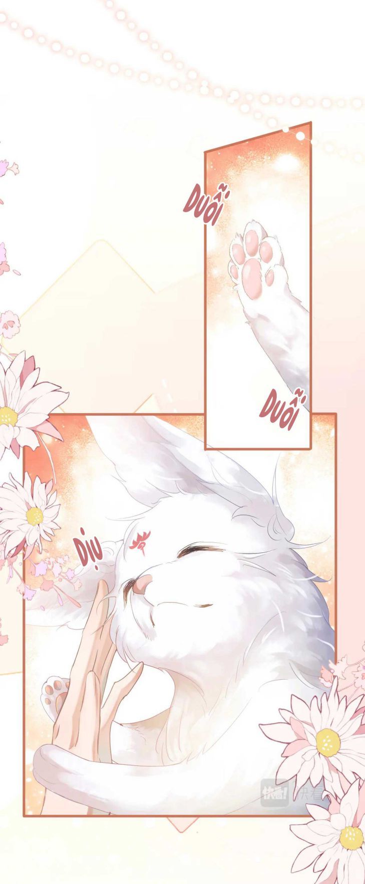 Giáo Bá Cửu Vĩ Hồ Theo Dõi Ta Lúc Sau Chapter 1 - Trang 2