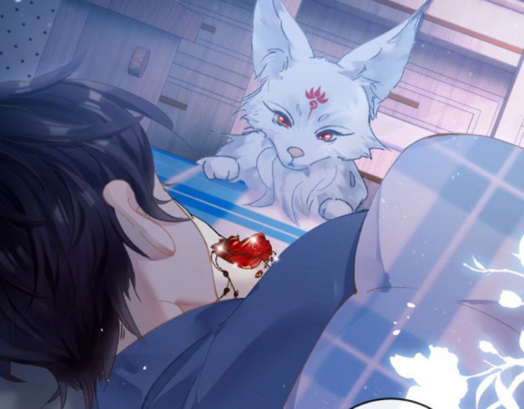 Giáo Bá Cửu Vĩ Hồ Theo Dõi Ta Lúc Sau Chapter 3 - Trang 2