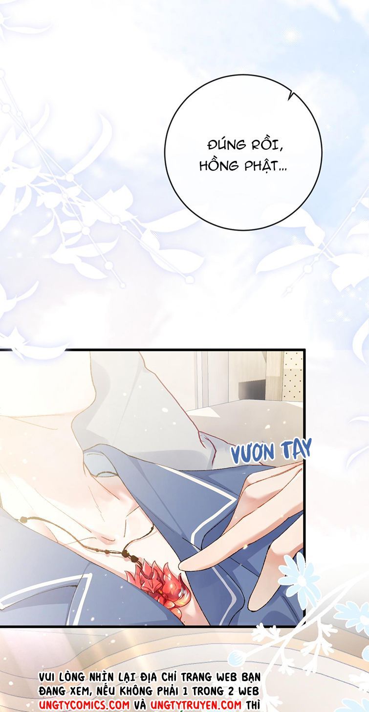 Giáo Bá Cửu Vĩ Hồ Theo Dõi Ta Lúc Sau Chapter 4 - Trang 2