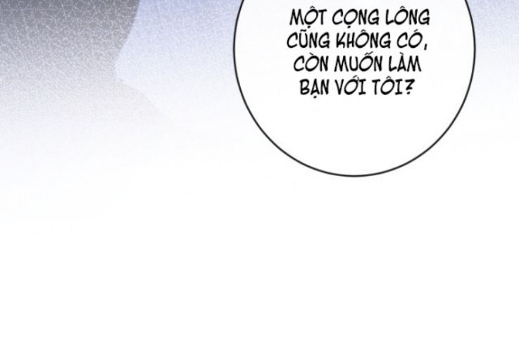 Giáo Bá Cửu Vĩ Hồ Theo Dõi Ta Lúc Sau Chapter 5 - Trang 2