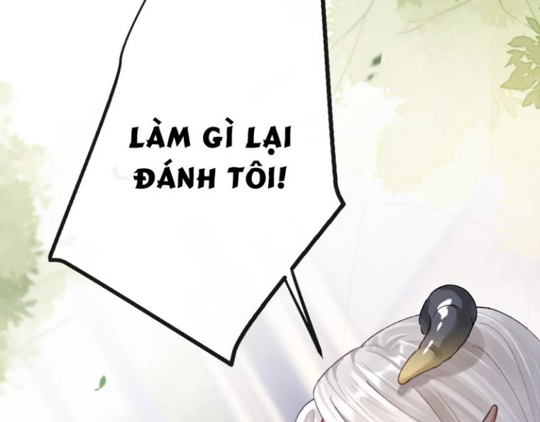 Giáo Bá Cửu Vĩ Hồ Theo Dõi Ta Lúc Sau Chapter 6 - Trang 2