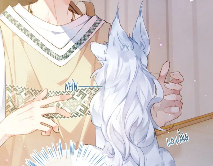 Giáo Bá Cửu Vĩ Hồ Theo Dõi Ta Lúc Sau Chapter 9 - Trang 2