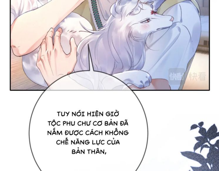 Giáo Bá Cửu Vĩ Hồ Theo Dõi Ta Lúc Sau Chapter 9 - Trang 2