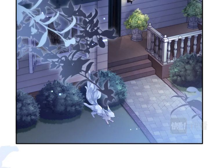 Giáo Bá Cửu Vĩ Hồ Theo Dõi Ta Lúc Sau Chapter 12 - Trang 2