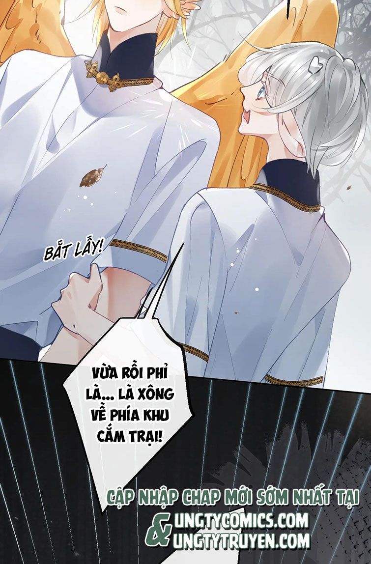 Giáo Bá Cửu Vĩ Hồ Theo Dõi Ta Lúc Sau Chapter 20 - Trang 2