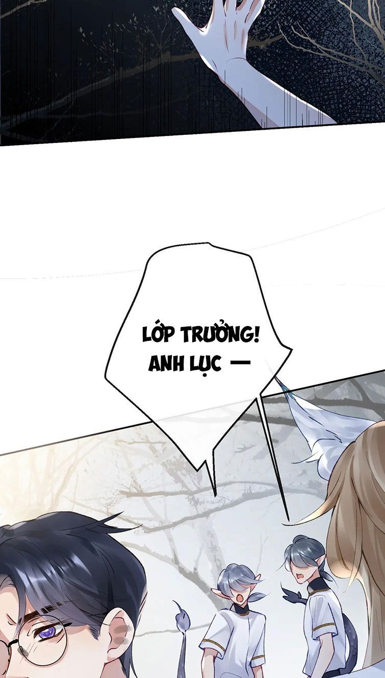 Giáo Bá Cửu Vĩ Hồ Theo Dõi Ta Lúc Sau Chapter 20 - Trang 2