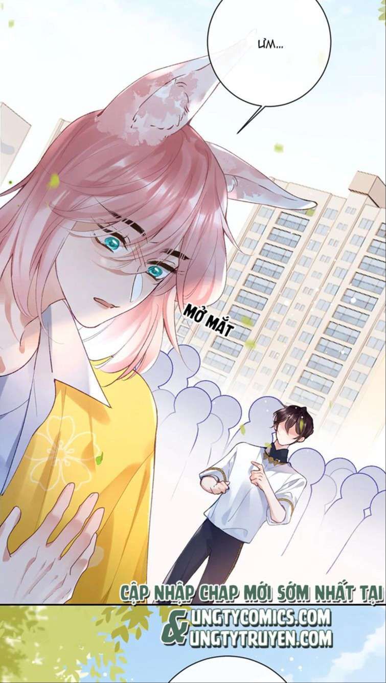 Giáo Bá Cửu Vĩ Hồ Theo Dõi Ta Lúc Sau Chapter 28 - Trang 2