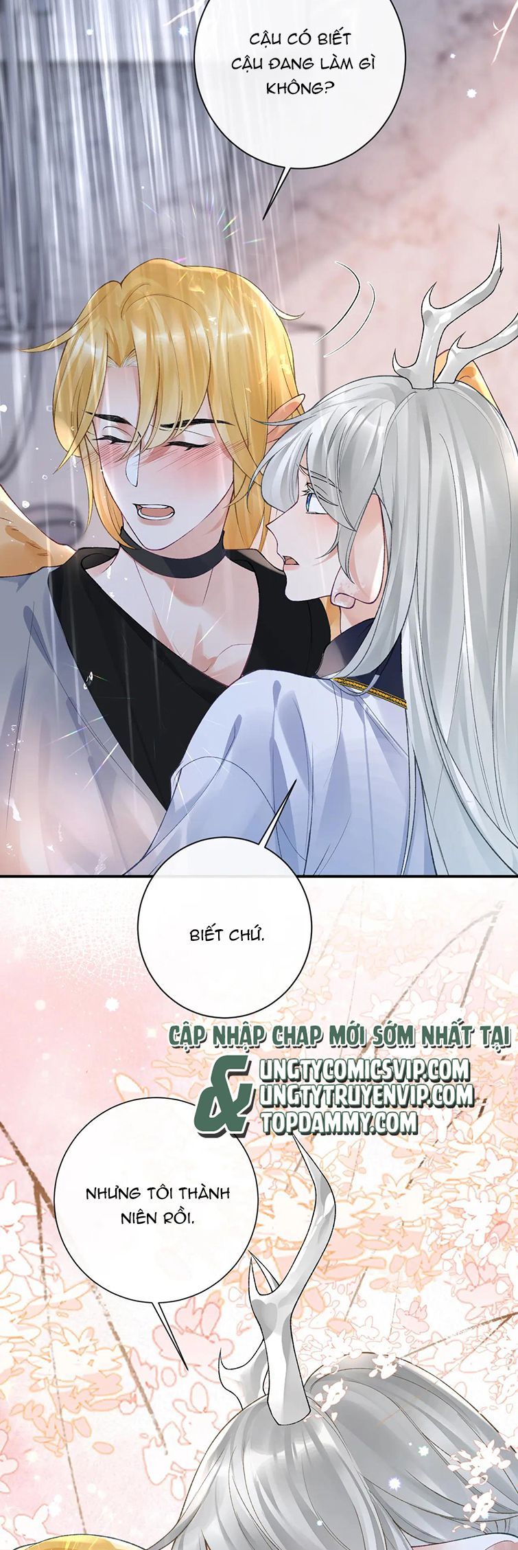 Giáo Bá Cửu Vĩ Hồ Theo Dõi Ta Lúc Sau Chapter 47 - Trang 2