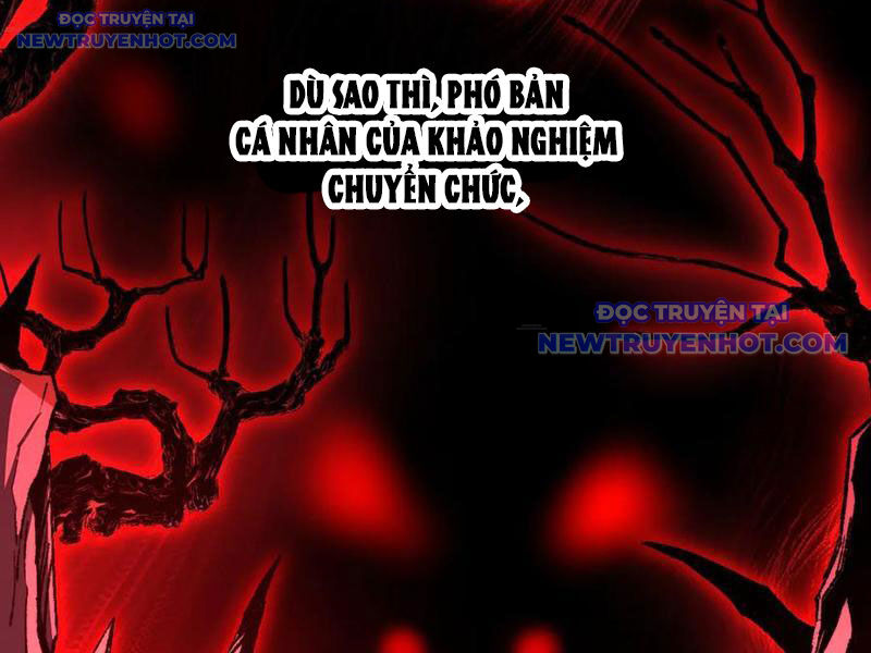 Ta Là Tai Họa Cấp Mục Sư Chapter 37 - Trang 2