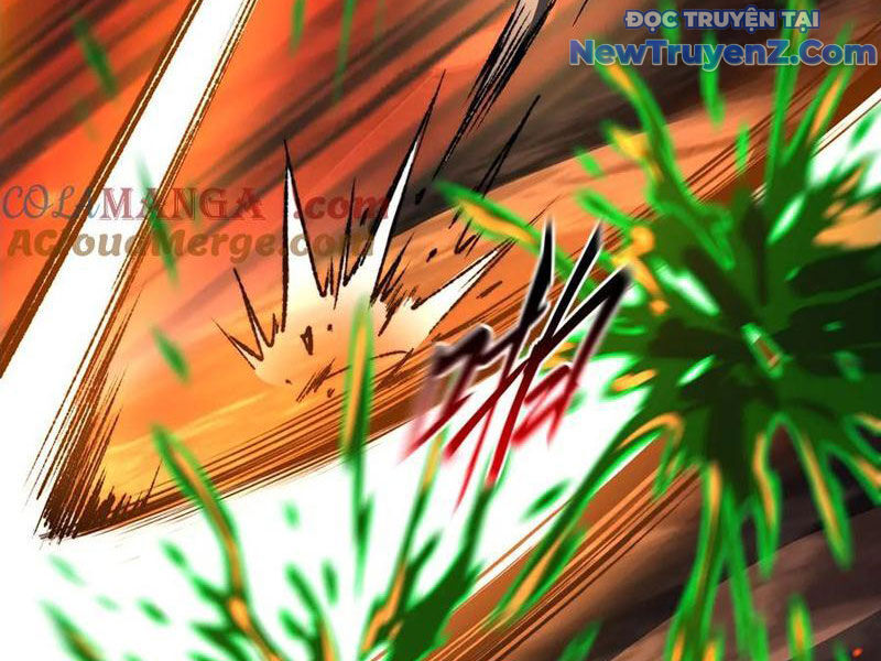 Ta Là Tai Họa Cấp Mục Sư Chapter 39 - Trang 2