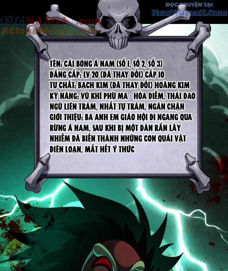 Ta Là Tai Họa Cấp Mục Sư Chapter 43 - Trang 2