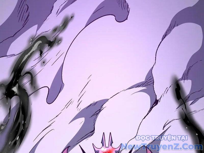 Ta Là Tai Họa Cấp Mục Sư Chapter 45 - Trang 2