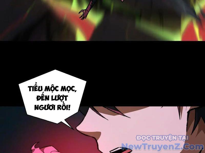 Ta Là Tai Họa Cấp Mục Sư Chapter 45 - Trang 2