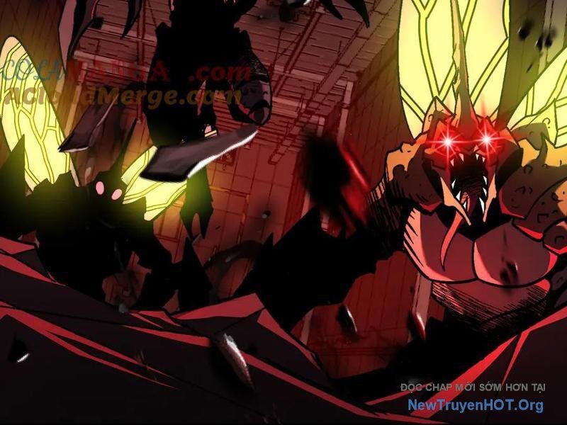 Ta Là Tai Họa Cấp Mục Sư Chapter 48 - Trang 2