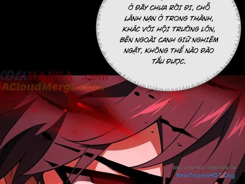 Ta Là Tai Họa Cấp Mục Sư Chapter 48 - Trang 2