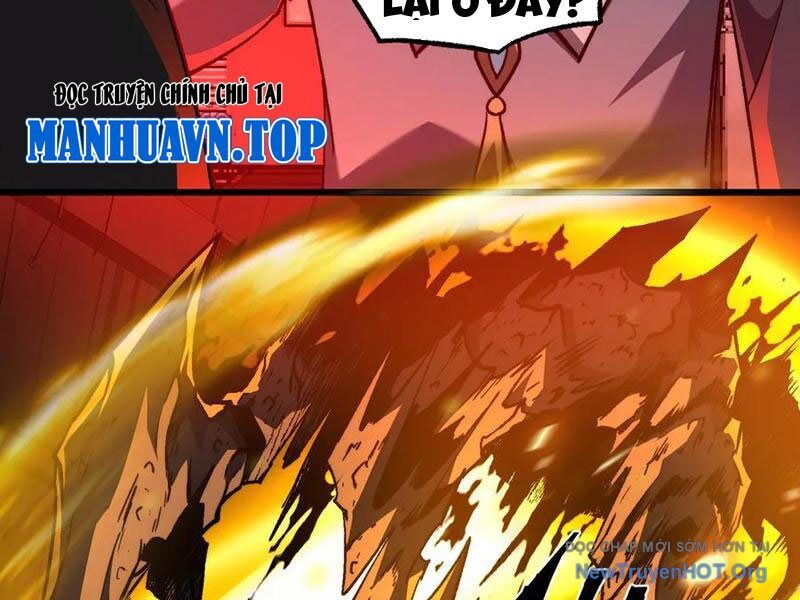 Ta Là Tai Họa Cấp Mục Sư Chapter 49 - Trang 2