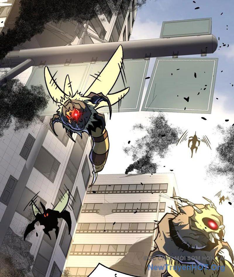 Ta Là Tai Họa Cấp Mục Sư Chapter 50 - Trang 2